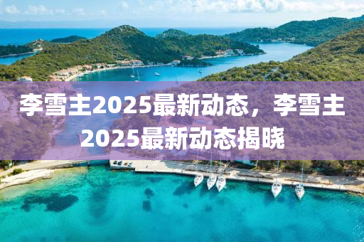 李雪主2025最新动态，李雪主2025最新动态揭晓