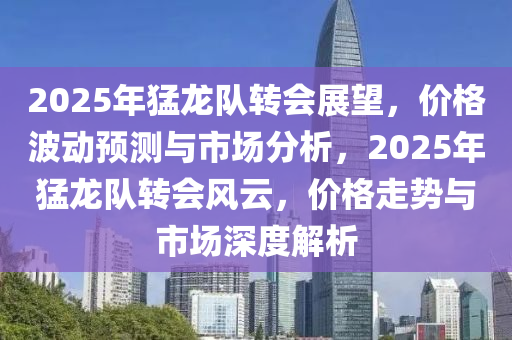 2025年猛龙队转会展望，价格波动预测与市场分析，2025年猛龙队转会风云，价格走势与市场深度解析