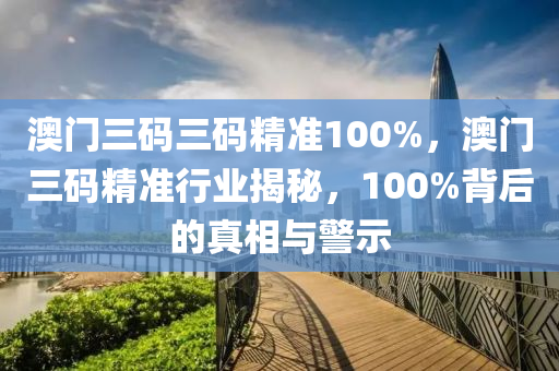 澳门三码三码精准100%，澳门三码精准行业揭秘，100%背后的真相与警示