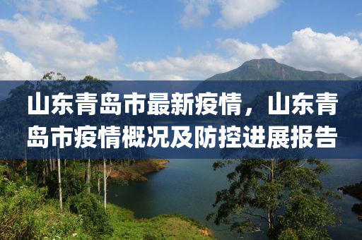 山东青岛市最新疫情，山东青岛市疫情概况及防控进展报告