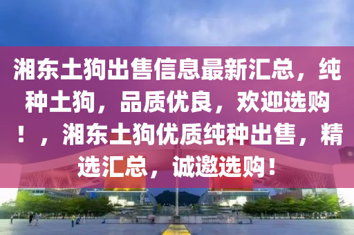 湘东土狗出售信息最新汇总，纯种土狗，品质优良，欢迎选购！，湘东土狗优质纯种出售，精选汇总，诚邀选购！