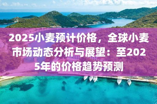 2025小麦预计价格，全球小麦市场动态分析与展望：至2025年的价格趋势预测