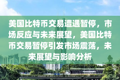 美国比特币交易遭遇暂停，市场反应与未来展望，美国比特币交易暂停引发市场震荡，未来展望与影响分析