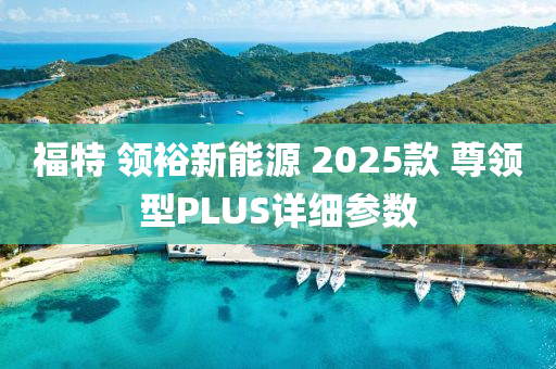 福特 领裕新能源 2025款 尊领型PLUS详细参数