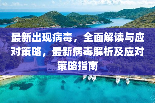 最新出现病毒，全面解读与应对策略，最新病毒解析及应对策略指南