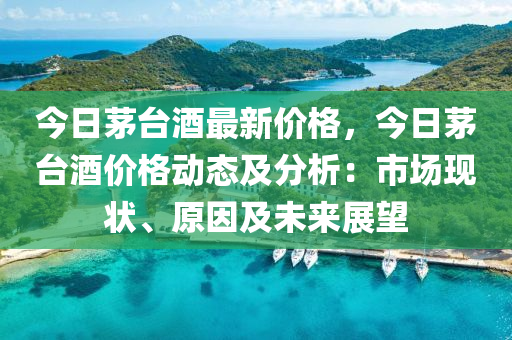 今日茅台酒最新价格，今日茅台酒价格动态及分析：市场现状、原因及未来展望