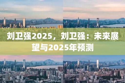 刘卫强2025，刘卫强：未来展望与2025年预测