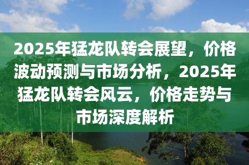 2025年猛龙队转会展望，价格波动预测与市场分析，2025年猛龙队转会风云，价格走势与市场深度解析