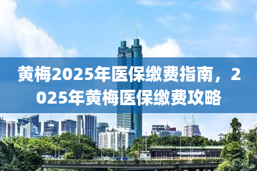 黄梅2025年医保缴费指南，2025年黄梅医保缴费攻略