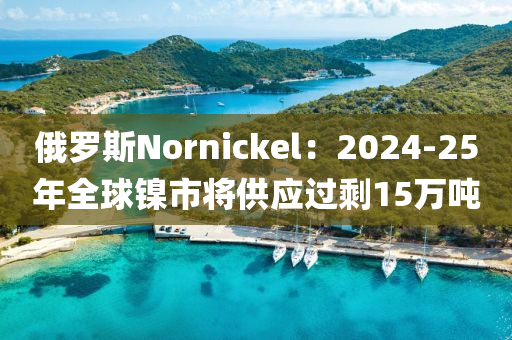 俄罗斯Nornickel：2024-25年全球镍市将供应过剩15万吨