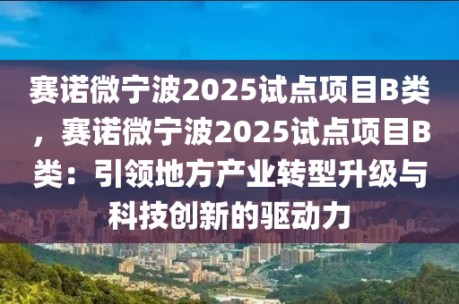 赛诺微宁波2025试点项目B类，赛诺微宁波2025试点项目B类：引领地方产业转型升级与科技创新的驱动力