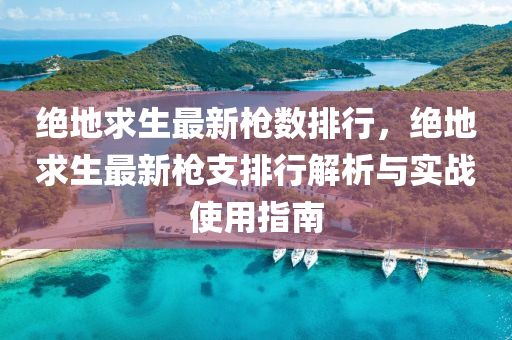 绝地求生最新枪数排行，绝地求生最新枪支排行解析与实战使用指南