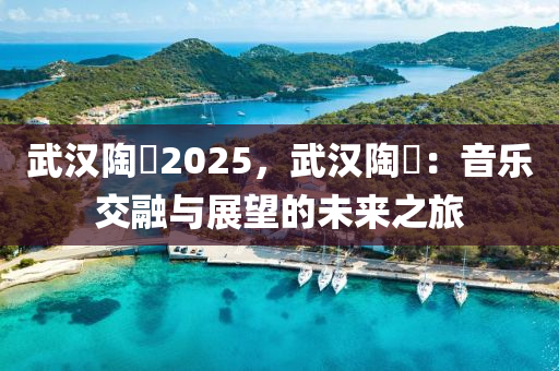 武汉陶喆2025，武汉陶喆：音乐交融与展望的未来之旅