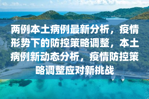 两例本土病例最新分析，疫情形势下的防控策略调整，本土病例新动态分析，疫情防控策略调整应对新挑战