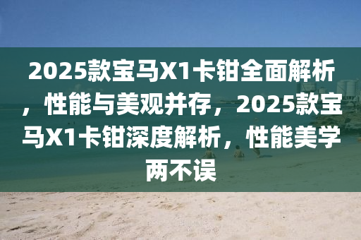 2025款宝马X1卡钳全面解析，性能与美观并存，2025款宝马X1卡钳深度解析，性能美学两不误