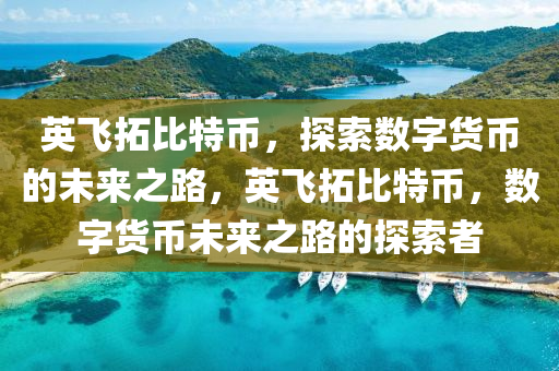 英飞拓比特币，探索数字货币的未来之路，英飞拓比特币，数字货币未来之路的探索者