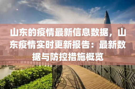 山东的疫情最新信息数据，山东疫情实时更新报告：最新数据与防控措施概览