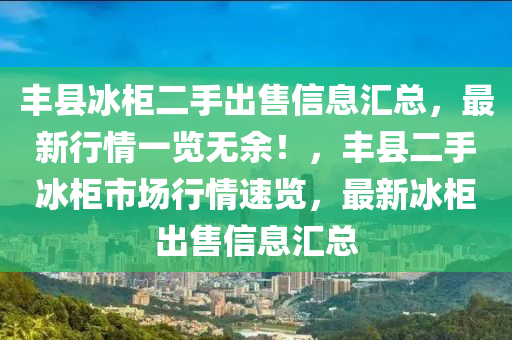 丰县冰柜二手出售信息汇总，最新行情一览无余！，丰县二手冰柜市场行情速览，最新冰柜出售信息汇总