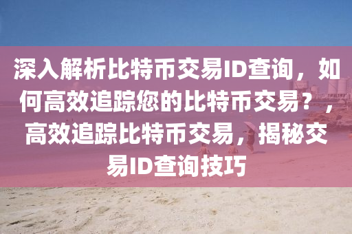 深入解析比特币交易ID查询，如何高效追踪您的比特币交易？，高效追踪比特币交易，揭秘交易ID查询技巧