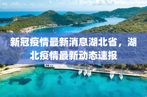 新冠疫情最新消息湖北省，湖北疫情最新动态速报