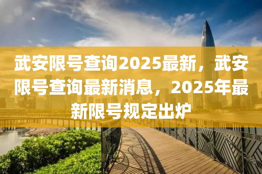 武安限号查询2025最新，武安限号查询最新消息，2025年最新限号规定出炉