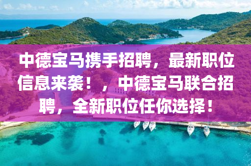 中德宝马携手招聘，最新职位信息来袭！，中德宝马联合招聘，全新职位任你选择！