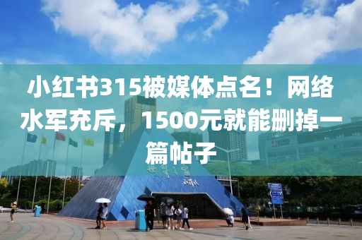 小红书315被媒体点名！网络水军充斥，1500元就能删掉一篇帖子