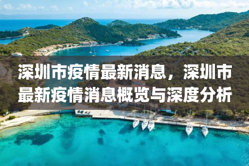 深圳市疫情最新消息，深圳市最新疫情消息概览与深度分析