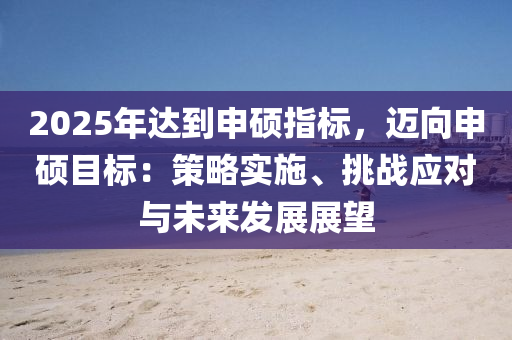 2025年达到申硕指标，迈向申硕目标：策略实施、挑战应对与未来发展展望