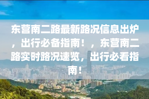 东营南二路最新路况信息出炉，出行必备指南！，东营南二路实时路况速览，出行必看指南！