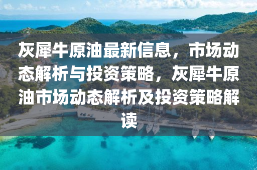 灰犀牛原油最新信息，市场动态解析与投资策略，灰犀牛原油市场动态解析及投资策略解读