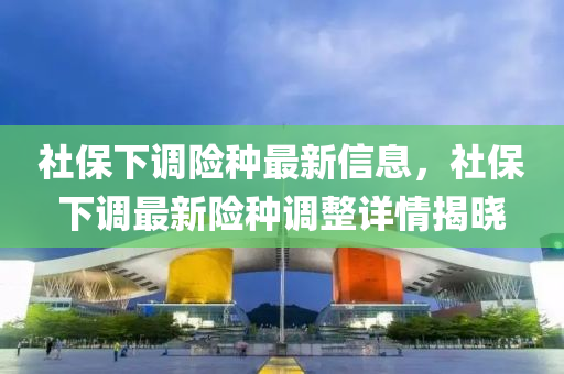 社保下调险种最新信息，社保下调最新险种调整详情揭晓