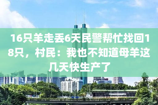 16只羊走丢6天民警帮忙找回18只，村民：我也不知道母羊这几天快生产了