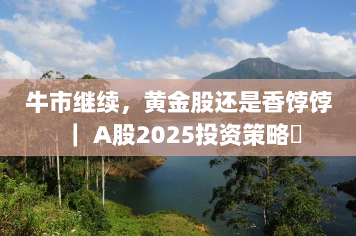 牛市继续，黄金股还是香饽饽｜ A股2025投资策略⑪