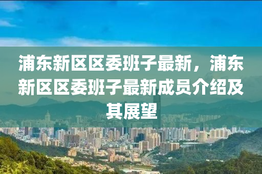 浦东新区区委班子最新，浦东新区区委班子最新成员介绍及其展望