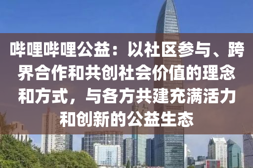 哔哩哔哩公益：以社区参与、跨界合作和共创社会价值的理念和方式，与各方共建充满活力和创新的公益生态