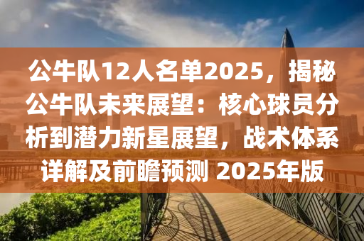 公牛队12人名单2025，揭秘公牛队未来展望：核心球员分析到潜力新星展望，战术体系详解及前瞻预测 2025年版