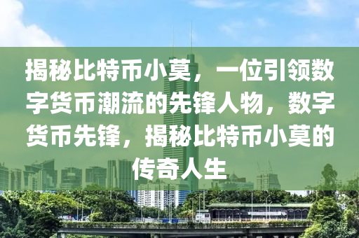 揭秘比特币小莫，一位引领数字货币潮流的先锋人物，数字货币先锋，揭秘比特币小莫的传奇人生