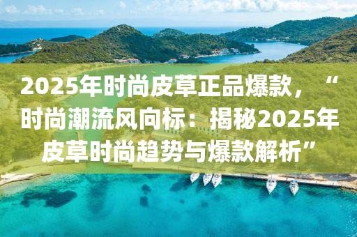 2025年时尚皮草正品爆款，“时尚潮流风向标：揭秘2025年皮草时尚趋势与爆款解析”