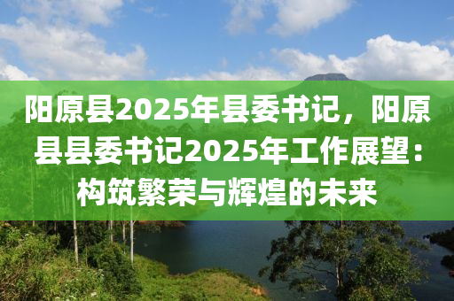 阳原县2025年县委书记，阳原县县委书记2025年工作展望：构筑繁荣与辉煌的未来