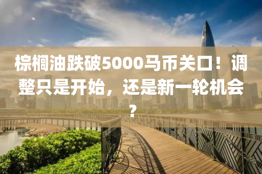 棕榈油跌破5000马币关口！调整只是开始，还是新一轮机会？