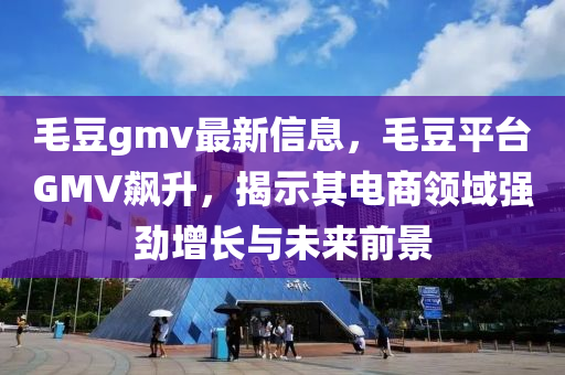 毛豆gmv最新信息，毛豆平台GMV飙升，揭示其电商领域强劲增长与未来前景