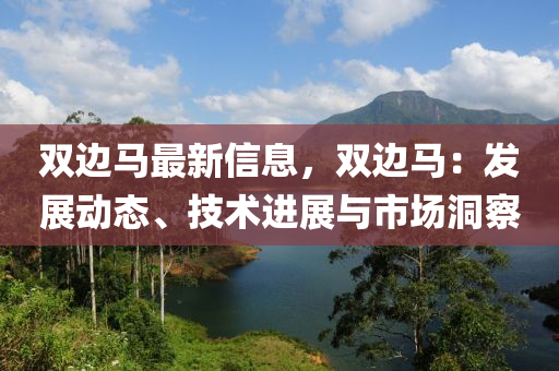 双边马最新信息，双边马：发展动态、技术进展与市场洞察