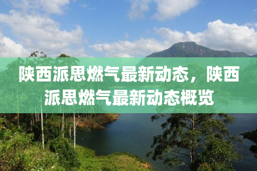 陕西派思燃气最新动态，陕西派思燃气最新动态概览