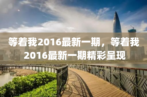 等着我2016最新一期，等着我 2016最新一期精彩呈现