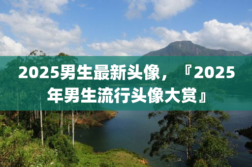 2025男生最新头像，『2025年男生流行头像大赏』