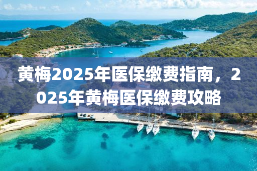 黄梅2025年医保缴费指南，2025年黄梅医保缴费攻略