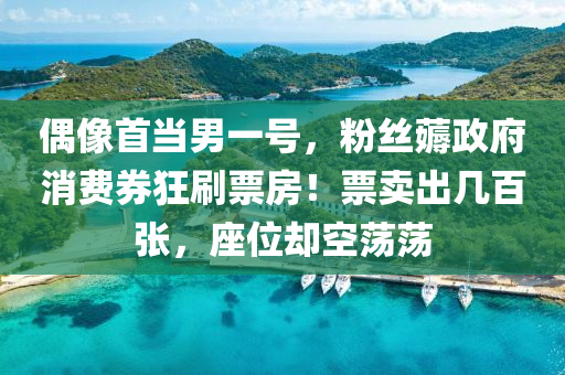 偶像首当男一号，粉丝薅政府消费券狂刷票房！票卖出几百张，座位却空荡荡