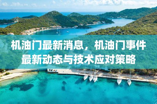 机油门最新消息，机油门事件最新动态与技术应对策略