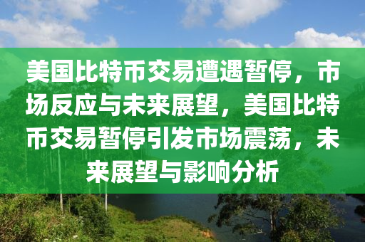 美国比特币交易遭遇暂停，市场反应与未来展望，美国比特币交易暂停引发市场震荡，未来展望与影响分析